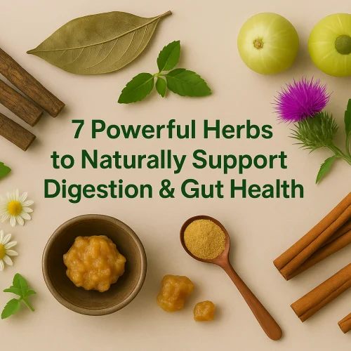 7 Powerful Herbs to Naturally Support Digestion & Gut Health